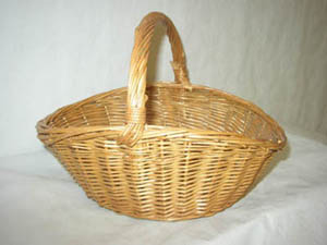 ref 11= 12 